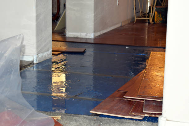 Professional Emergency Water Damage Restoration technician working in Ashton, ID